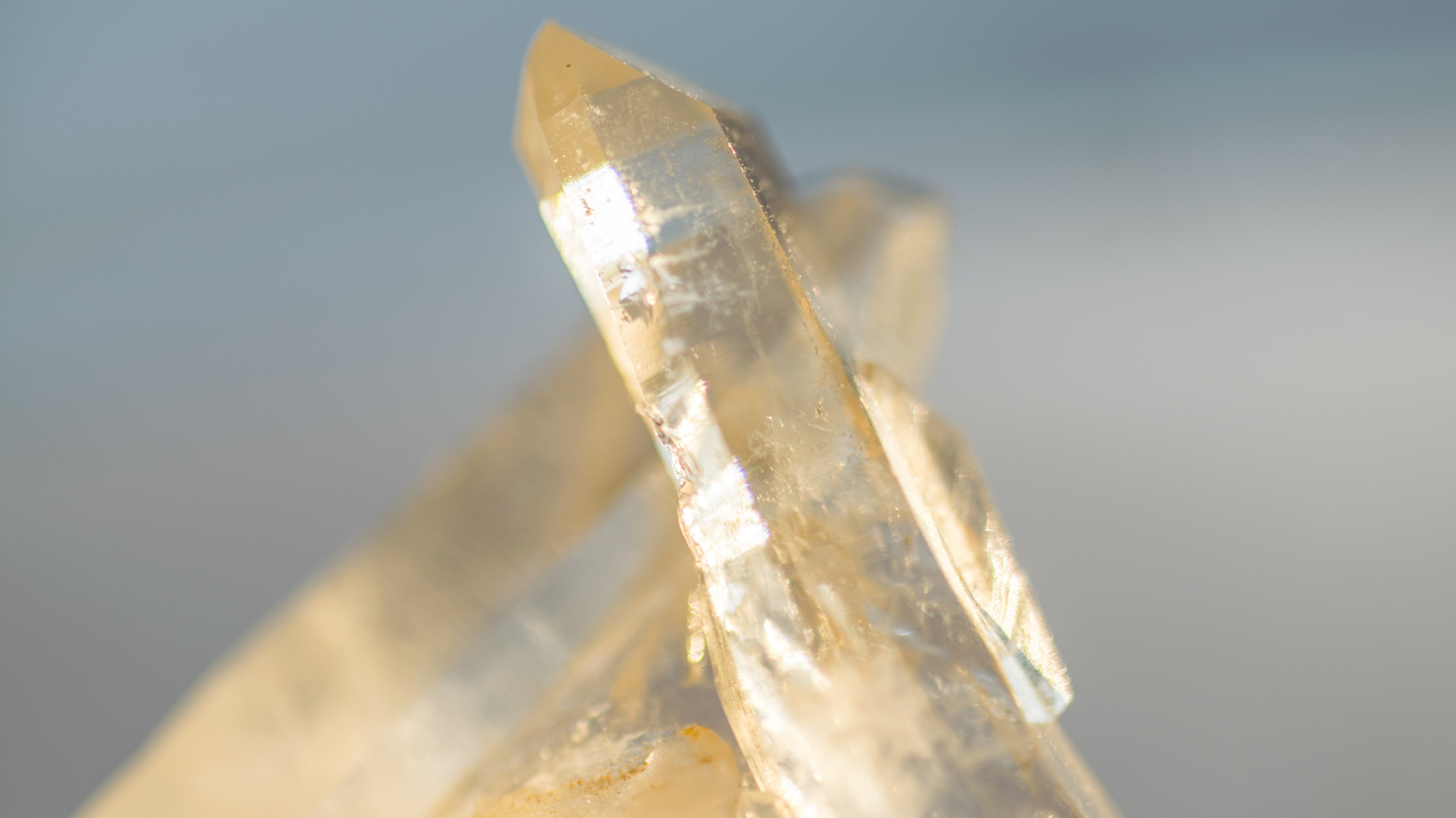 Citrine Extract