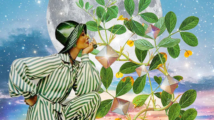 Natural vs Synthetic: Our Vetting Process