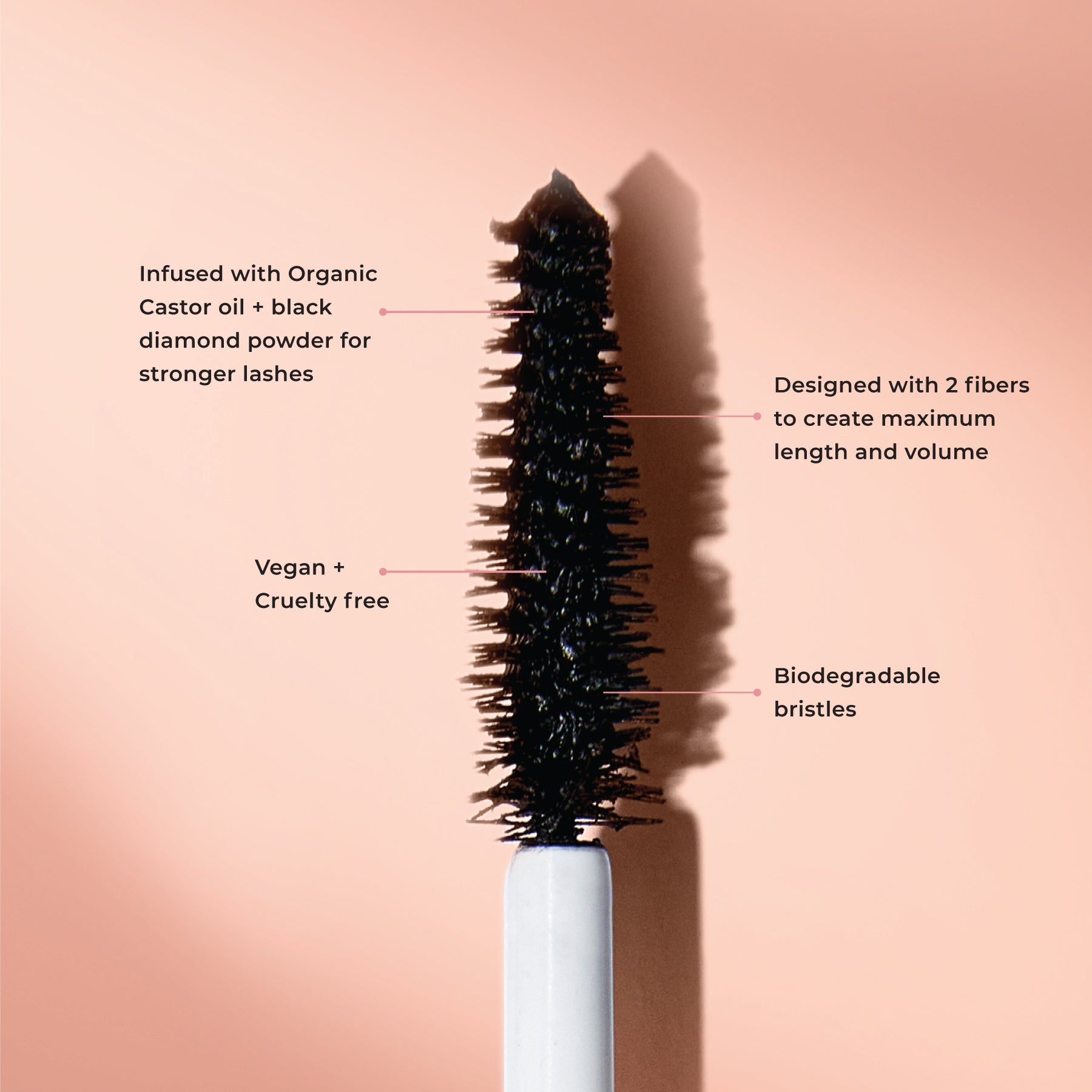 Educational image of The Big Bang Mascara. Infused with Organic Castor Oil and Black Diamond Powder for stronger lashes; Designed with two fibers to create maximum length and volume; Vegan + Cruelty-Free; Biodegradable bristles