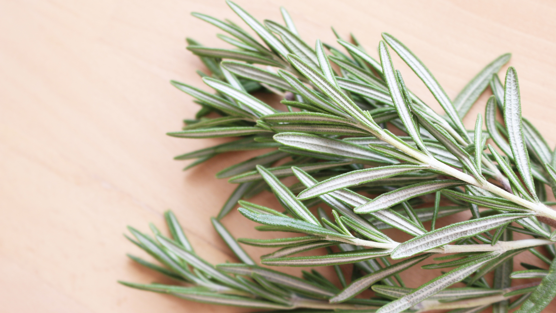 Rosmarinus Officinalis (Rosemary) Leaf Extract