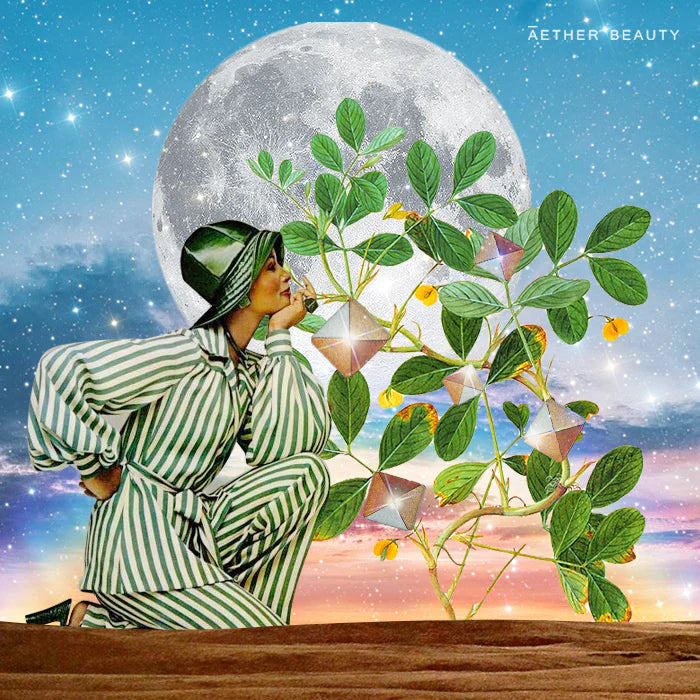 Natural vs Synthetic: Our Vetting Process